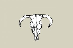 Teschio di toro in stile rustico