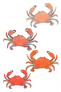 Frutti di mare e granchi - Acquerello