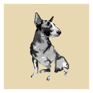 Bull Terrier da cartissi