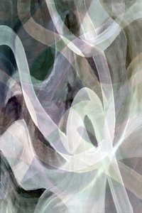 Morbidi riccioli biologici da cartissi