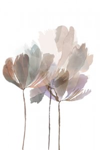 Delicati fiori ad acquerello da cartissi