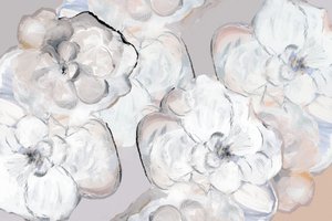 Morbidi fiori bianchi da cartissi