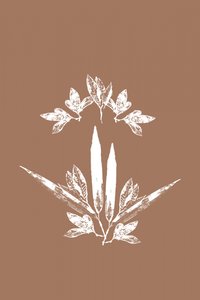 Foglie botaniche stilizzate da cartissi