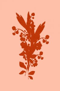 Silhouette floreale in terracotta da cartissi
