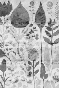 Giardino botanico con texture