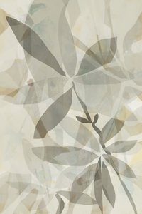 Sovrapposizione botanica traslucida da cartissi