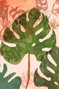 Foglie di Monstera tropicale da cartissi