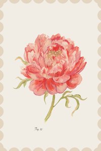 Peonia rosa vintage da cartissi