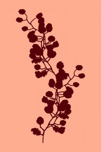 Calda silhouette botanica da cartissi