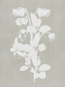 Fiori bianchi in stile botanico da cartissi