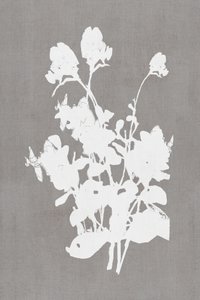 Sagoma floreale bianca da cartissi