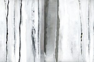 Astrazione della Foresta Bianca