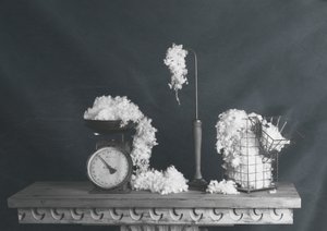 Natura morta vintage in cotone