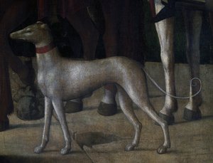 Cane, (dettaglio) dalla Crocifissione