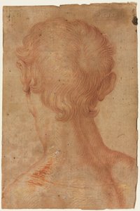 Testa di un uomo da dietro da copy after Agnolo Bronzino