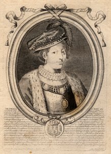 Ritratto di Francesco II (1544-1560) Re di Francia - Francesco (Francis) II (1544-60) - incisione da 
