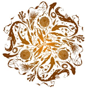 Mare marginis, 2018 (serigrafia) da julia McKenzie