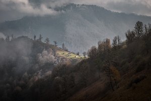 La serenità delle montagne nebbiose da nima.zadshir