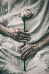Mani delicate stringono una rosa da nima.zadshir