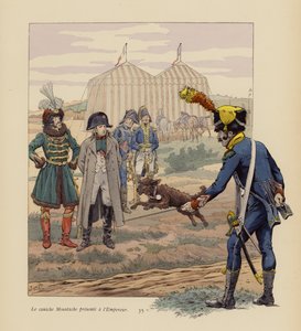 Il cane Moustache presentato a Napoleone da pseudonym for Onfray de Breville Jacques Job