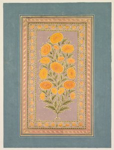 Calendula in fiore da style of Hunhar II