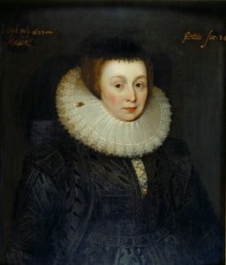 Ritratto di Lady Emily Howard, inizio XVII secolo da the Younger School of Marcus Gheeraerts