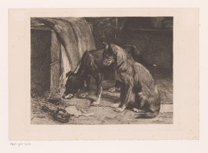Due cani vicino a una trappola per topi da van den Eyken (attributed to)