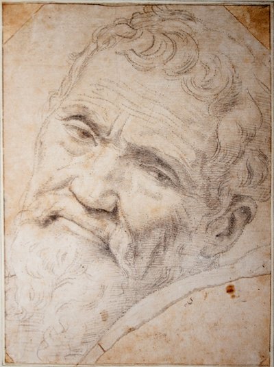Ritratto di Michelangelo Buonarroti. Carbone, gesso su carta, c.1550 da Daniele da  Volterra