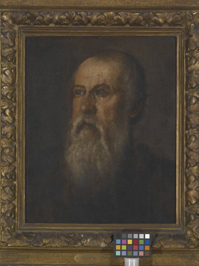 Ritratto di un uomo con la barba da (1528 88) Veronese
