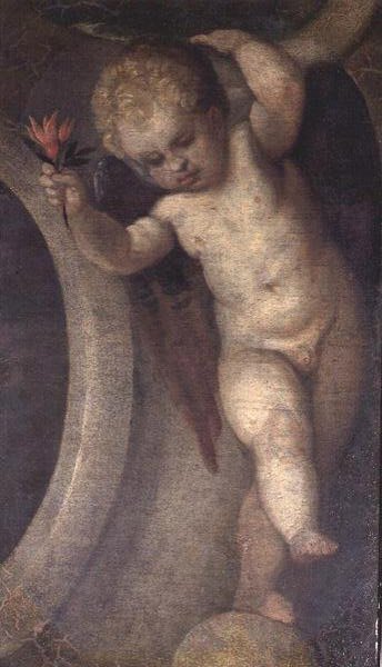 Putto con un fiore rosso da Veronese