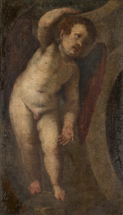 Un putto in piedi, c.1548-88 da Veronese