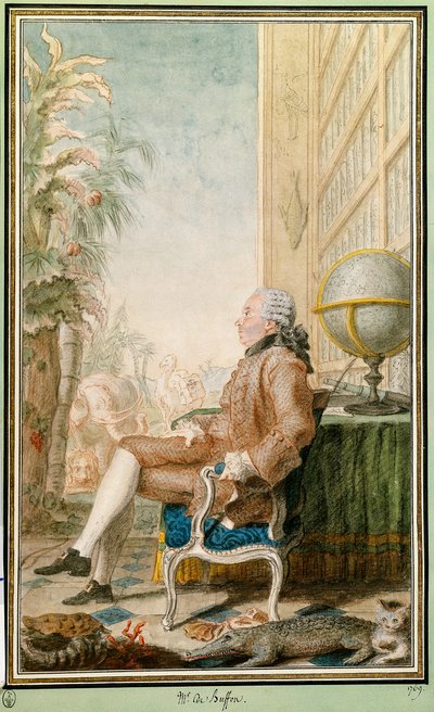 Ritratto di Georges-Louis Leclerc, Conte di Buffon, naturalista, intendente del Jardin du Roi da Carmontelle