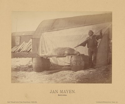 Jan Mayen, Bartrobbe da (Linienschiffs Lieutenant) Richard Basso