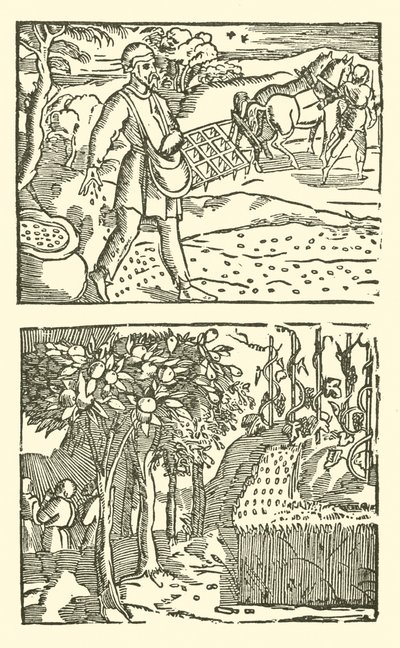 Illustrazione per The Roxburghe Ballads da (after) English School
