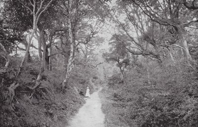 Fairlight Glen da (after) English photographer