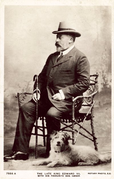 Il defunto re Edoardo VII, con il suo cane preferito Cesare da (after) English photographer