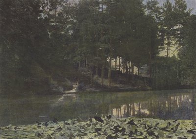 Bois de Boulogne, Il serbatoio da (after) French Photographer