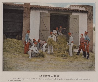La Botte a Coco da (after) French Photographer