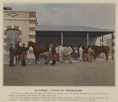 La forgia, visita del veterinario da (after) French Photographer