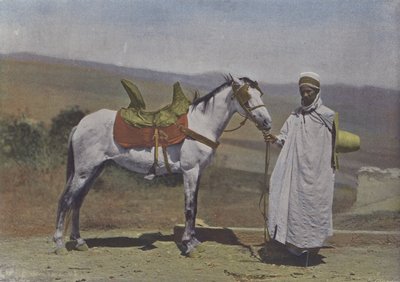 Il Cavallo arabo da (after) French Photographer