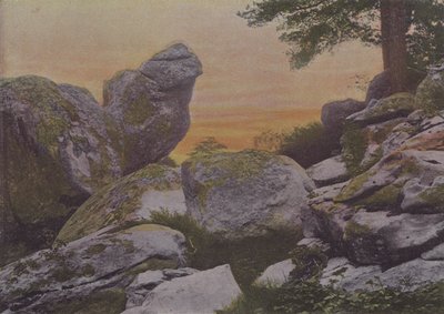 Rochers du mont Ussy (foto colorata) da (after) French Photographer
