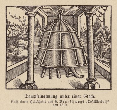 Inalazione di vapore sotto una campana da (after) German School