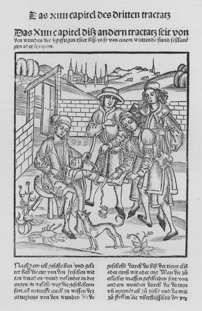 Il libro di Cirurgia di Hieronymus Brunschwig da (after) German School