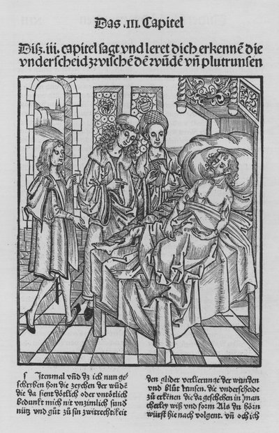 Il libro di Cirurgia di Hieronymus Brunschwig da (after) German School