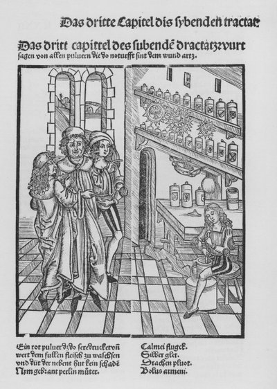 Il libro di Cirurgia di Hieronymus Brunschwig da (after) German School