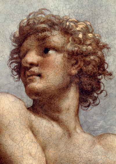 Visione di San Giovanni Evangelista a Patmos, Ascensione di Cristo tra gli Apostoli, o Cristo in Gloria di Antonio Allegri, noto come Correggio, affresco, (dettaglio), Chiesa di San Giovanni Evangelista, cupola, Parma da (c.1489 1534) Correggio