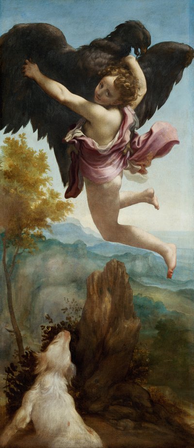 Il rapimento di Ganimede da (c.1489 1534) Correggio