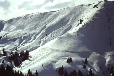 Pendio innevato da Detlef B. Fischer