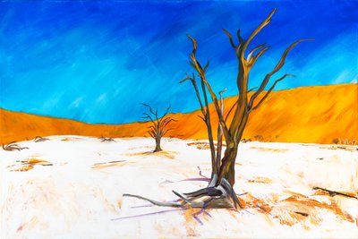 Dead Vlei da H.Opitz