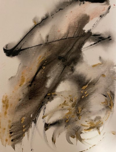 LA BALENA DALL
